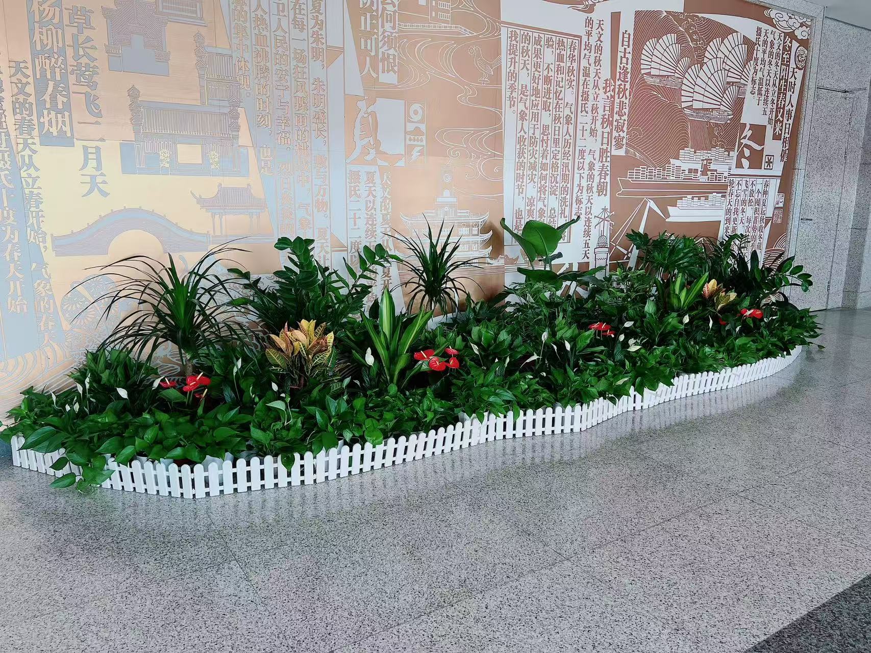 关注宁波江北盆景租赁价格，有惊喜！